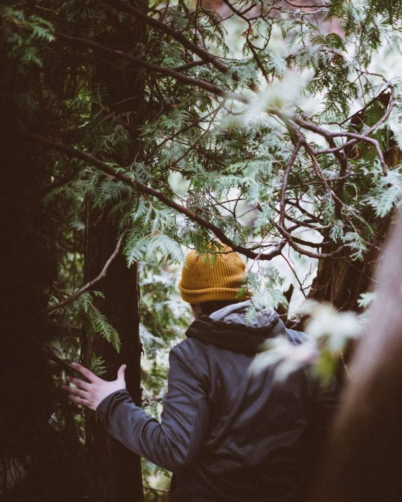 Zacchaeus