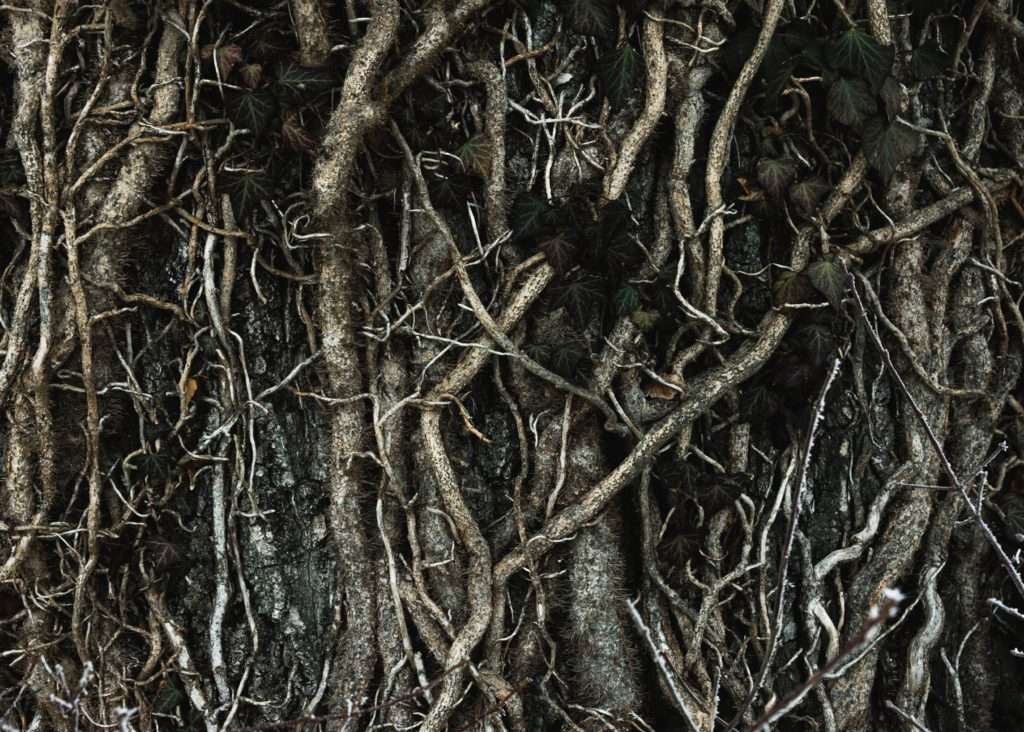 The Root Of Bitterness - can be healed by God's love | Church Buzz
