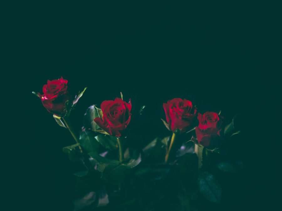 LIFE WITH CHRIST : NOT A BED OF ROSES