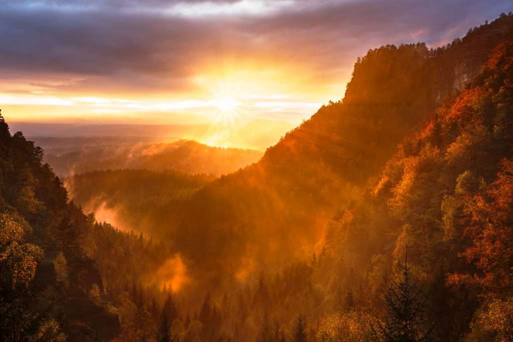 Joy comes in the Morning